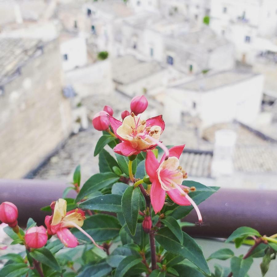 Appartement Sole Di Paglia *